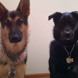 Meet your Posher, Valerie